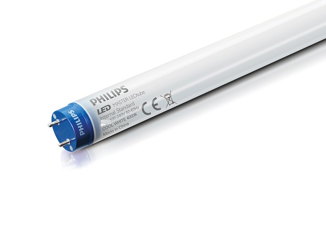 LED trubuce